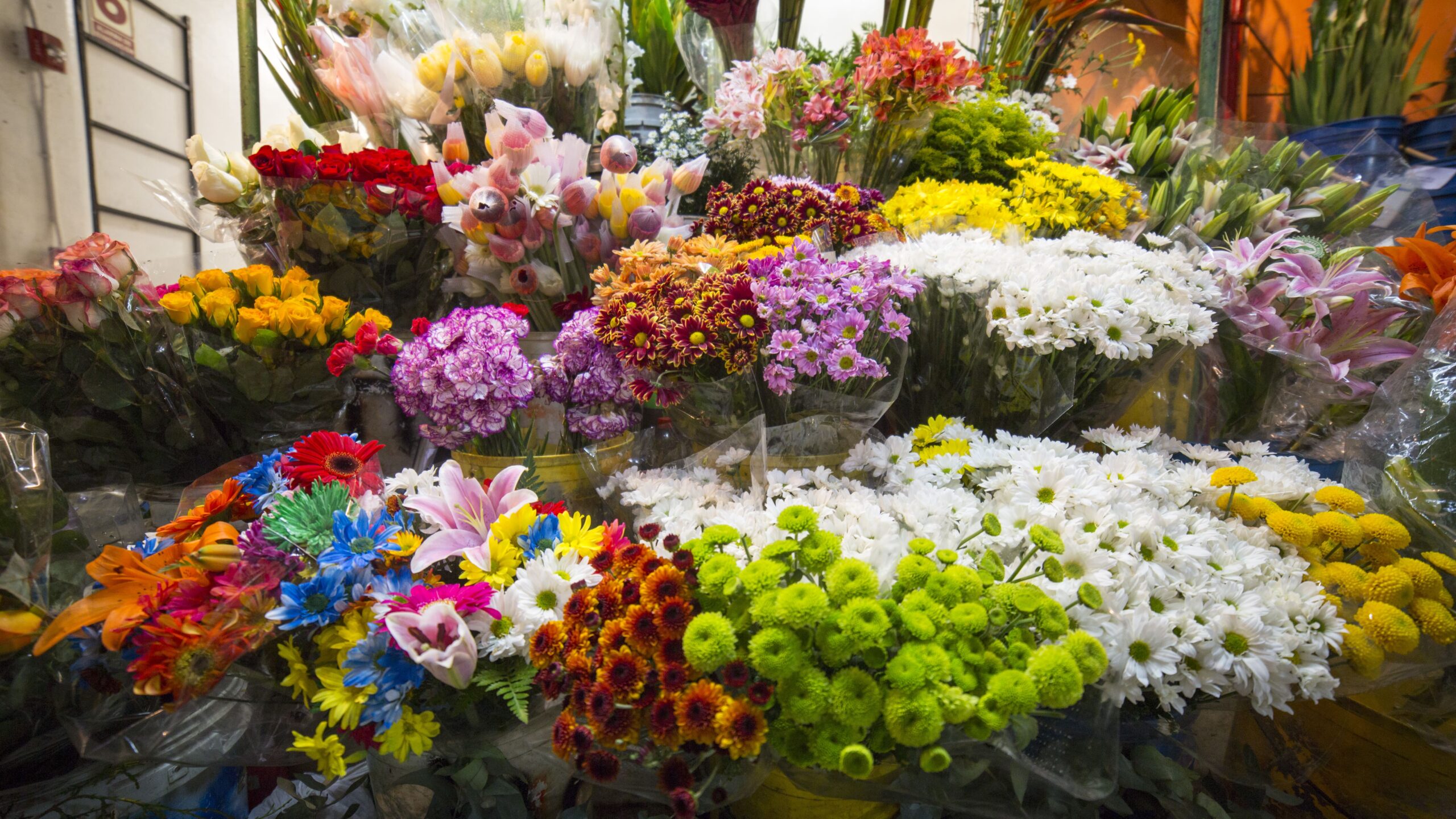 Floristeria Mercado Central San Jose
