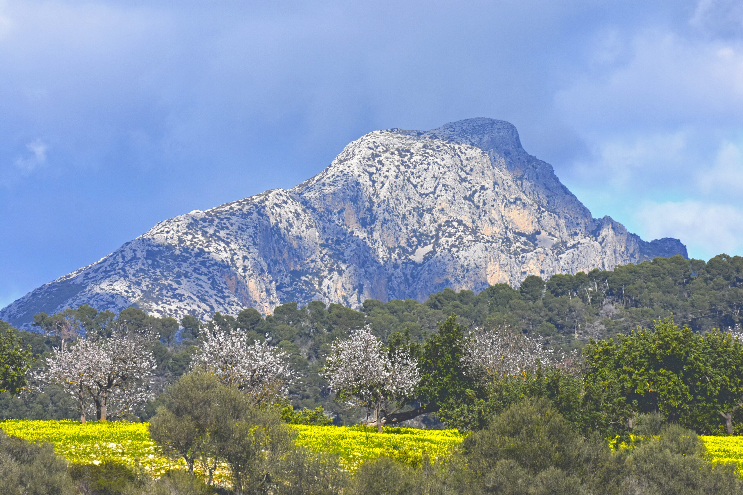Puig des Galatzó