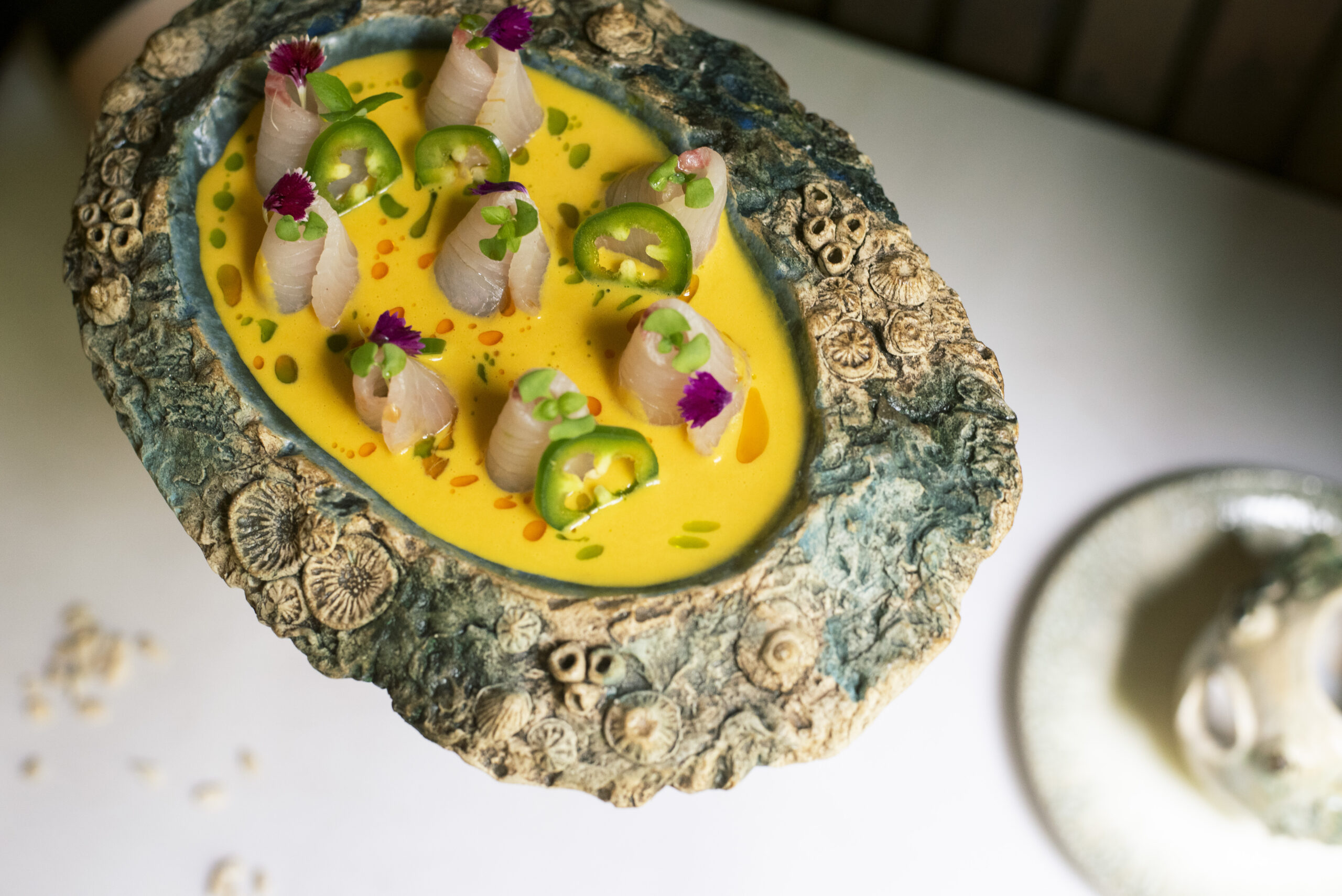 Tiradito de ponzu - Foto: Mítiko