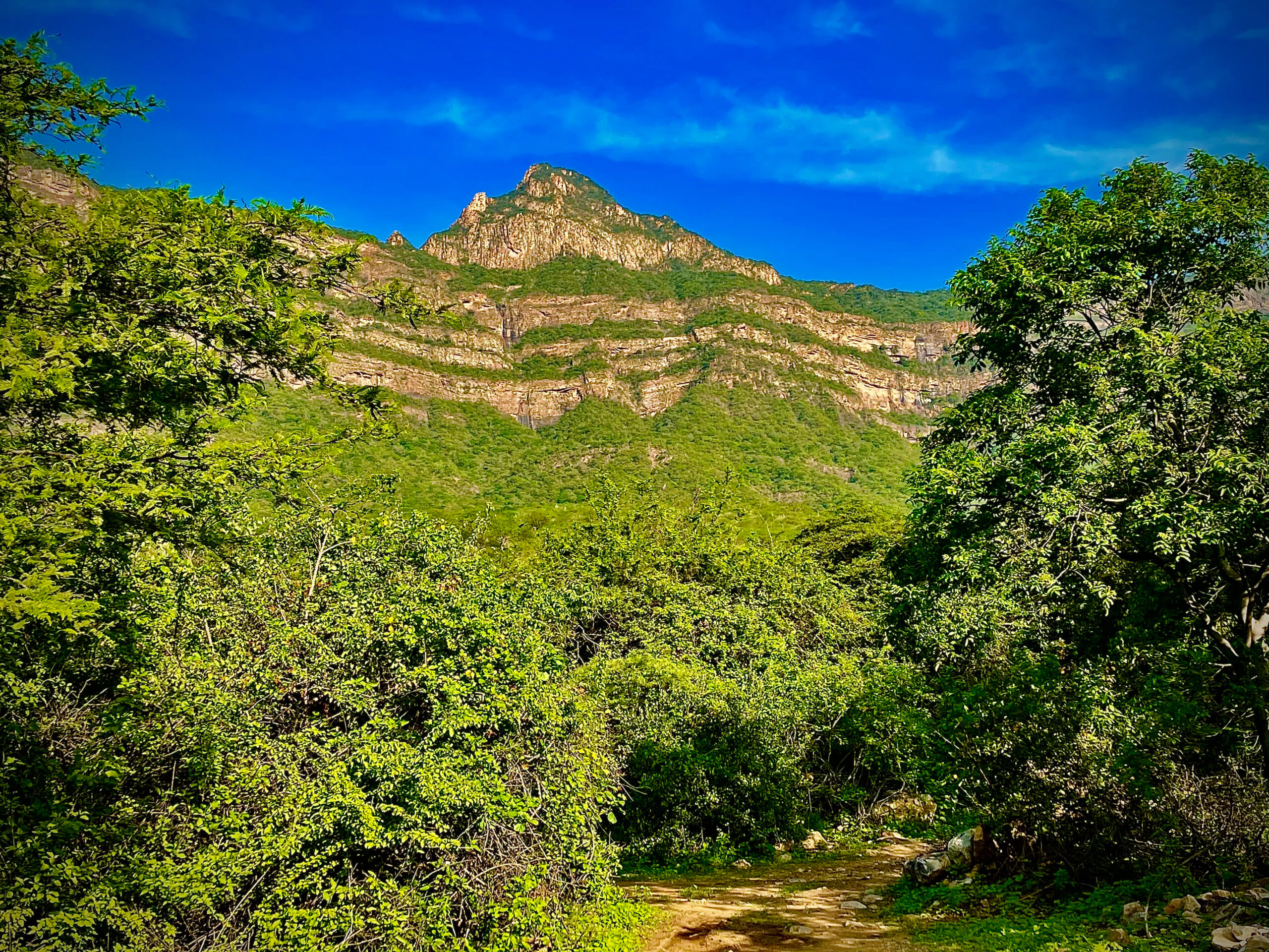 Reserva Ecológica Chaparri - Foto: Heinz Plenge (PROMPERÚ)