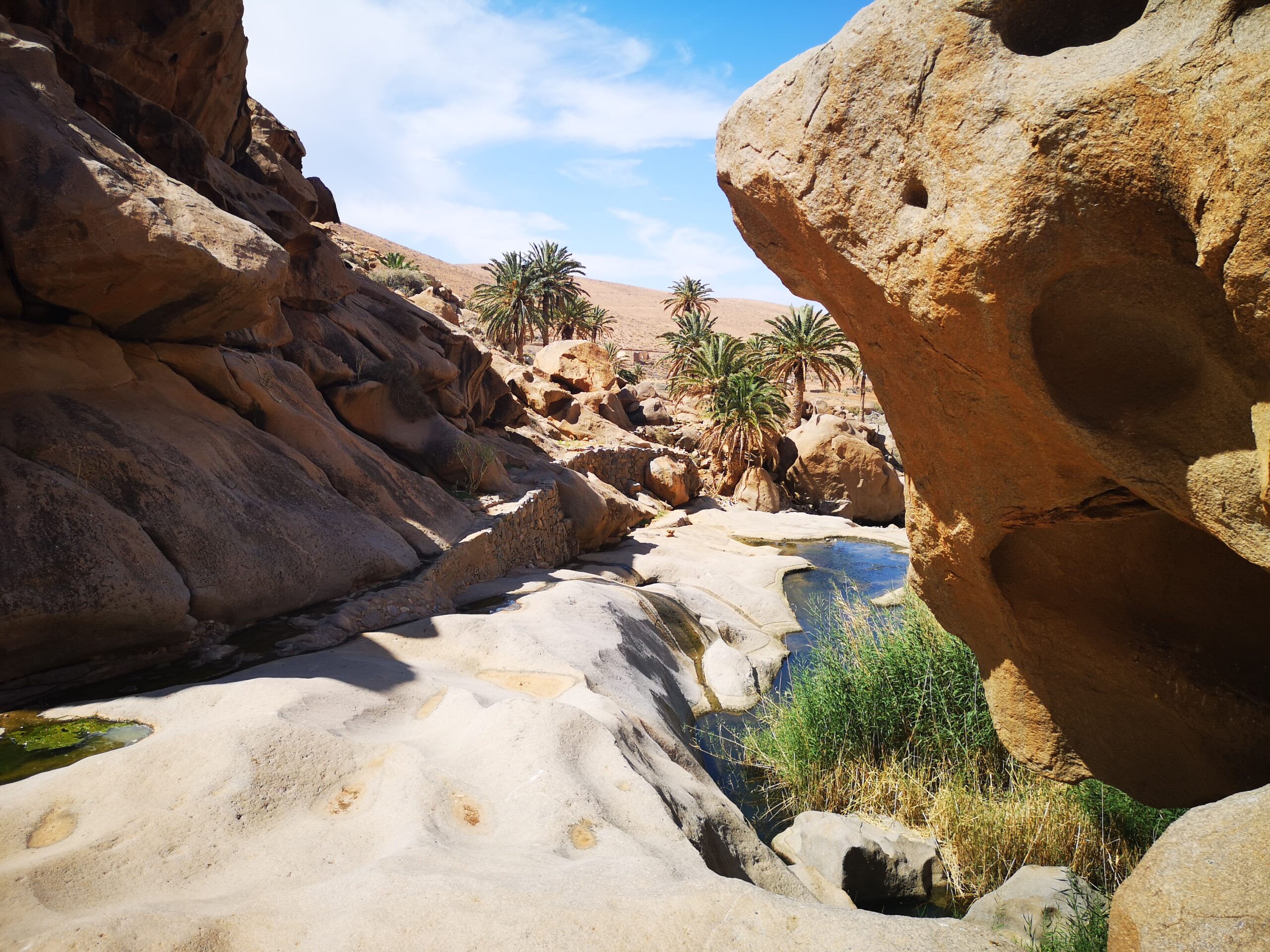 Foto: Dafne Morales Carreras