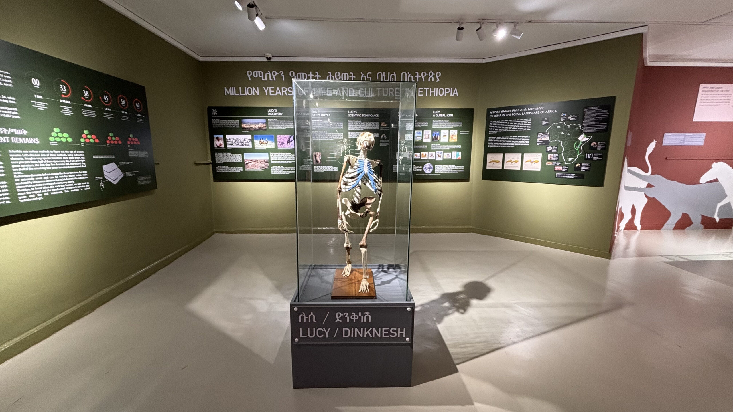 Lucy en el Museo Addis Abeba, Etiopía (Javier Mateo)