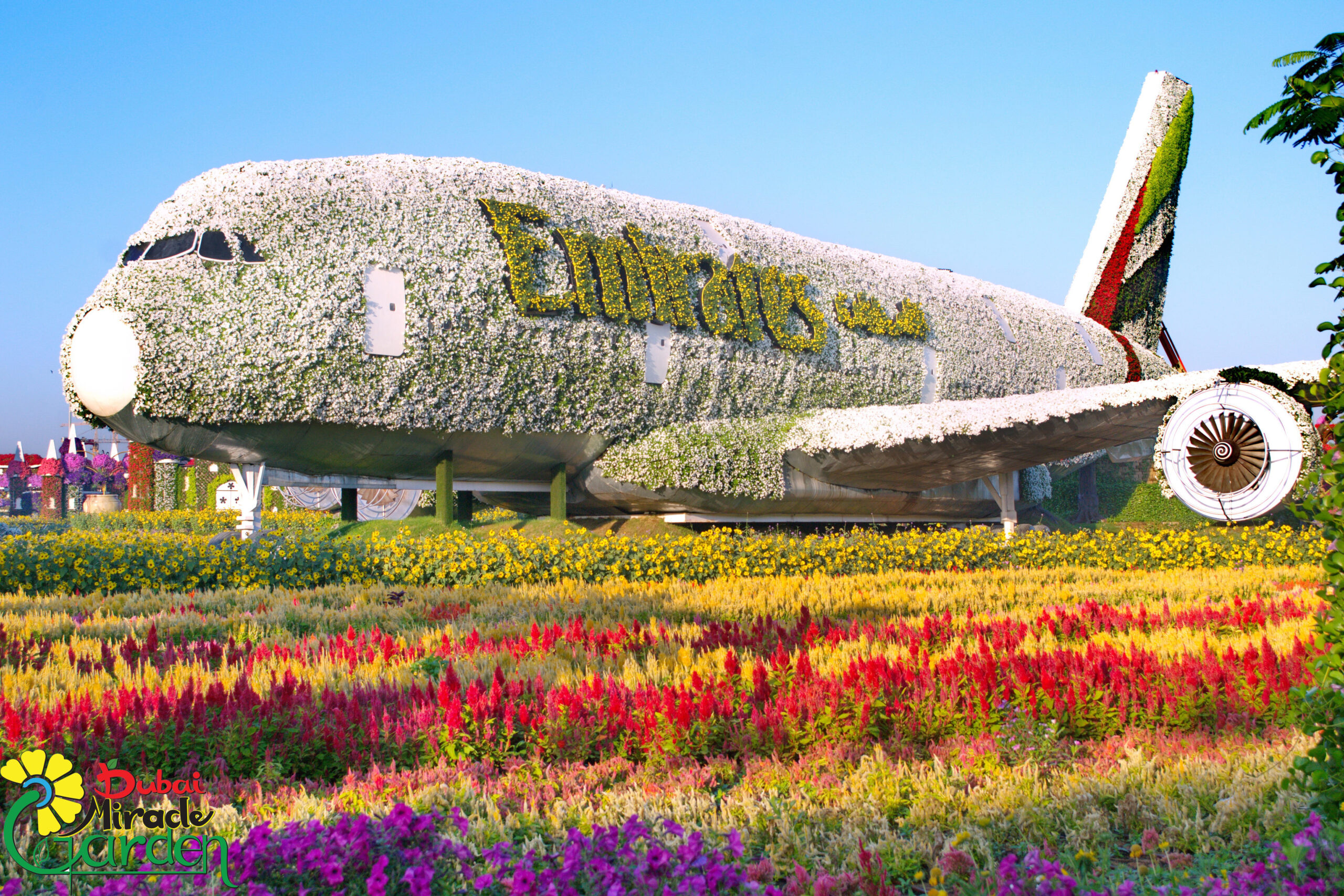 Dubai miracle garden