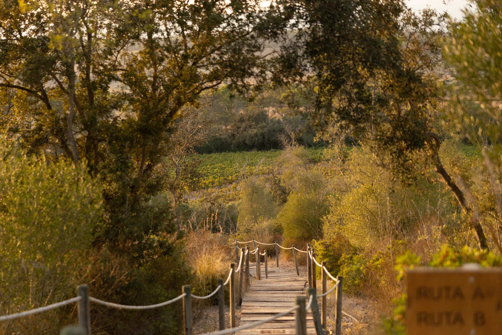 Hiking por Finca Serena