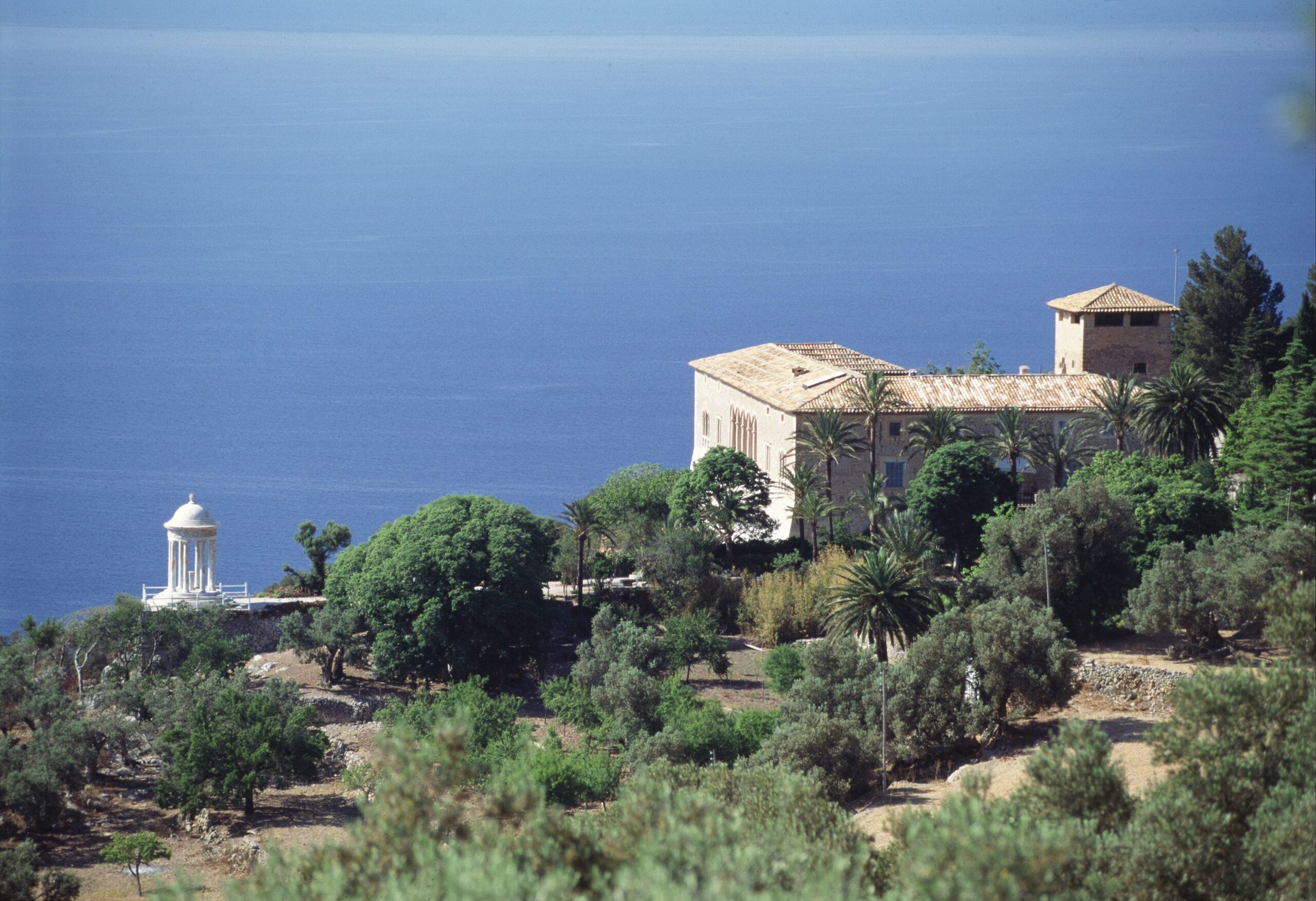 Un viaje botánico por las Islas Baleares