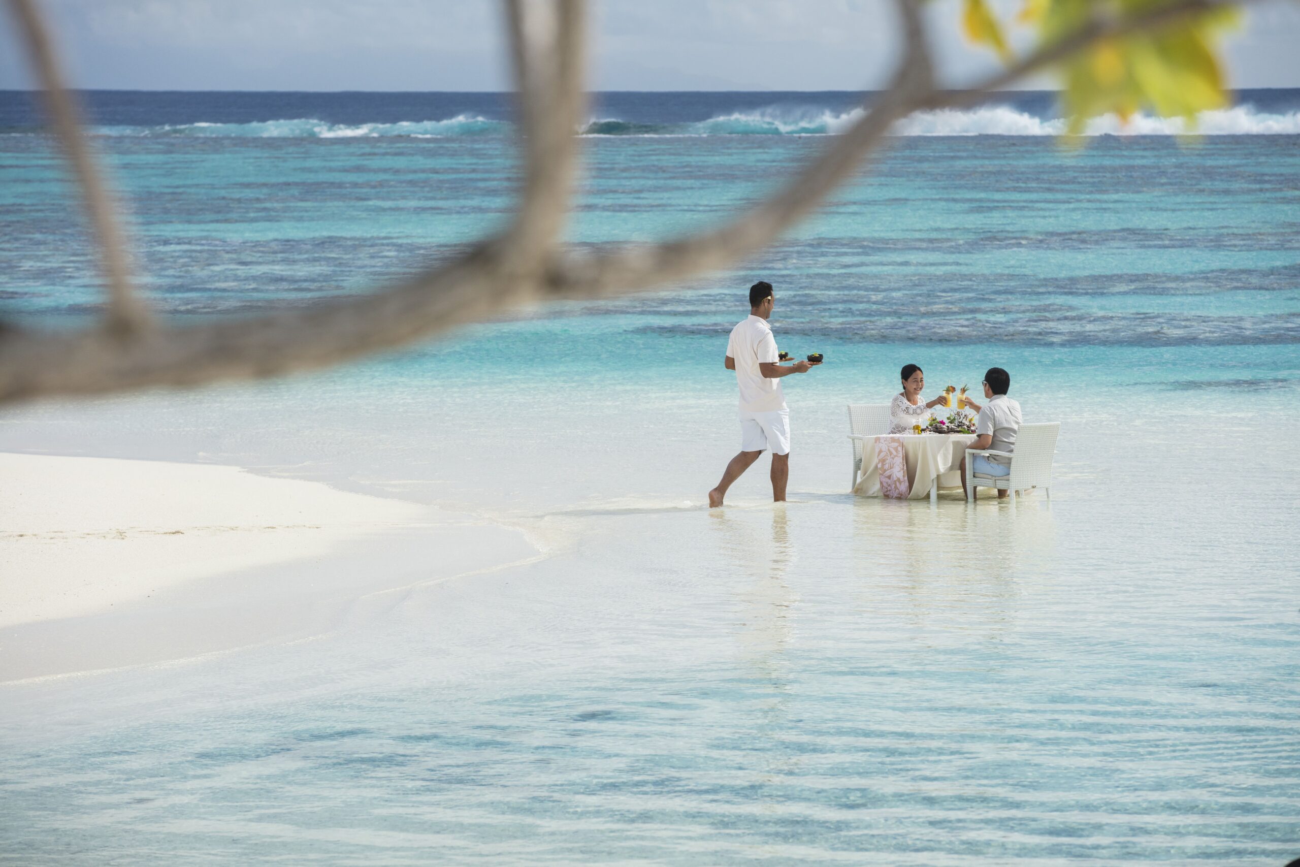 Almorzar frente a la laguna, bajo una palmera inclinada, con aves surcando el cielo