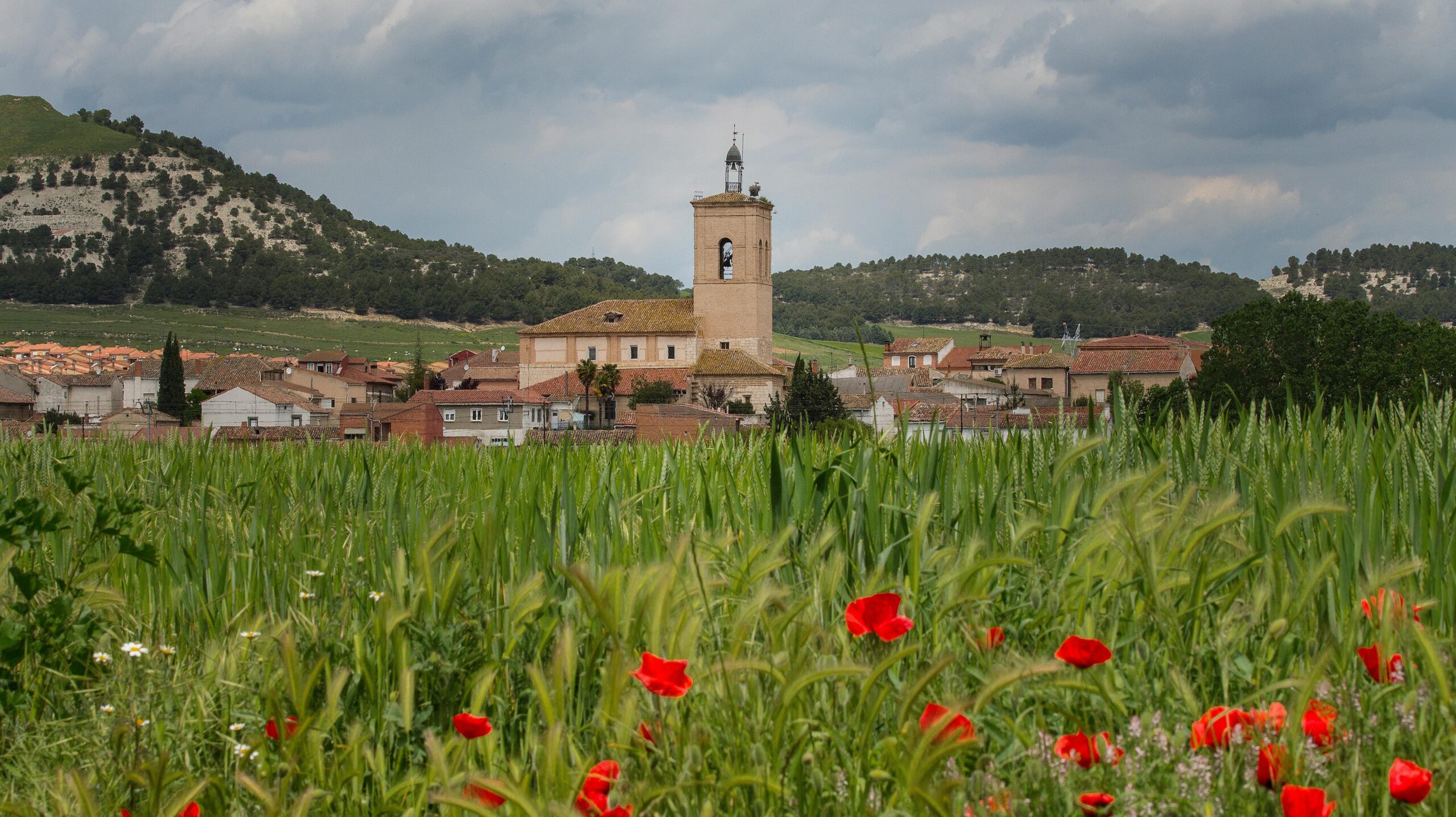 Foto: Francisco Fernández
